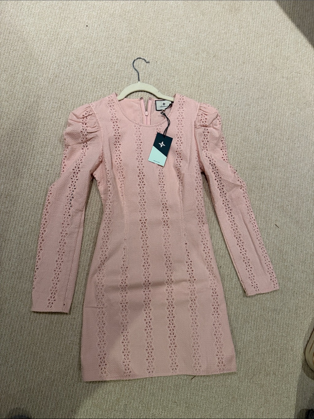 Tuckernuck Blush Pink Eyelet Puff Sleeve Mini Dress